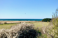 Klint