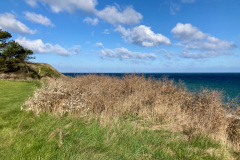Klint