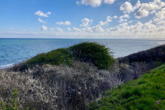 Klint