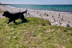 Klint