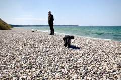 Klint