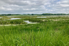 Ferie hos Marie, Waldringfield