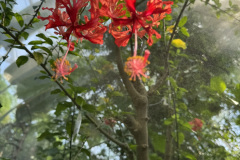 87F435C3-25EA-4F87-A84A-A4ADD6F4A296_1_102_o