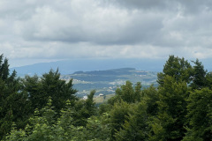 IMG_4908