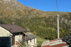 IMG_7117