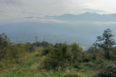 IMG_7301