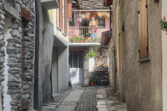 IMG_7416