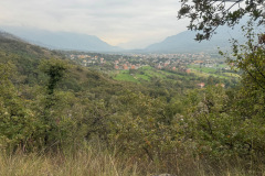 IMG_7441