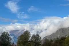 IMG_7562