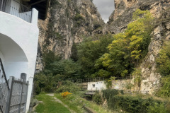 Foresta Canyon