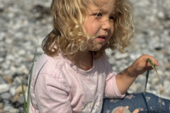 IMG_6216