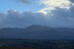 IMG_1614