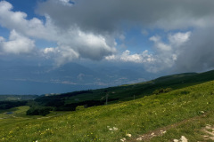 IMG_5055