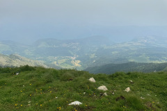 IMG_5069
