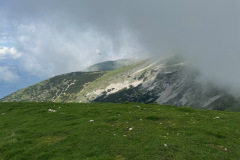 IMG_5075
