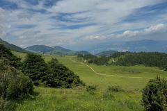 IMG_5092