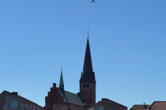 IMG_3665