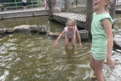 7FB4EC75-85AB-4698-8C37-E332371184DF_1_105_c