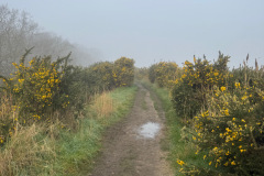 IMG_8691