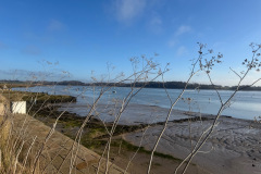 IMG_8670