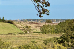 IMG_1203