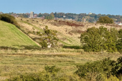 IMG_1206